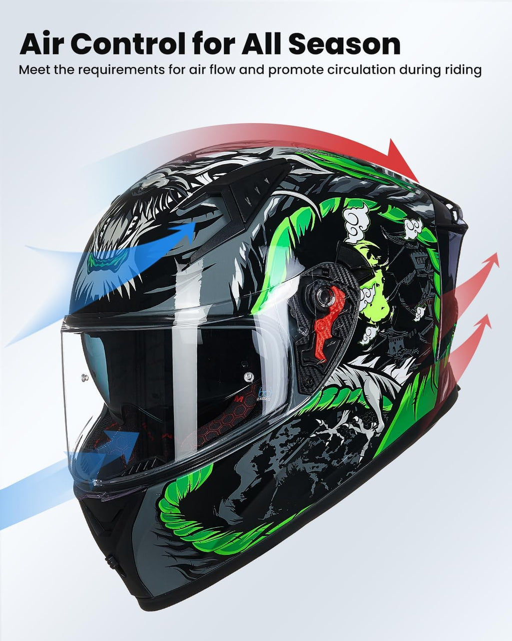 Motorcycle Helmet Full Face with Pinlock Compatible Motocross DOT Z501